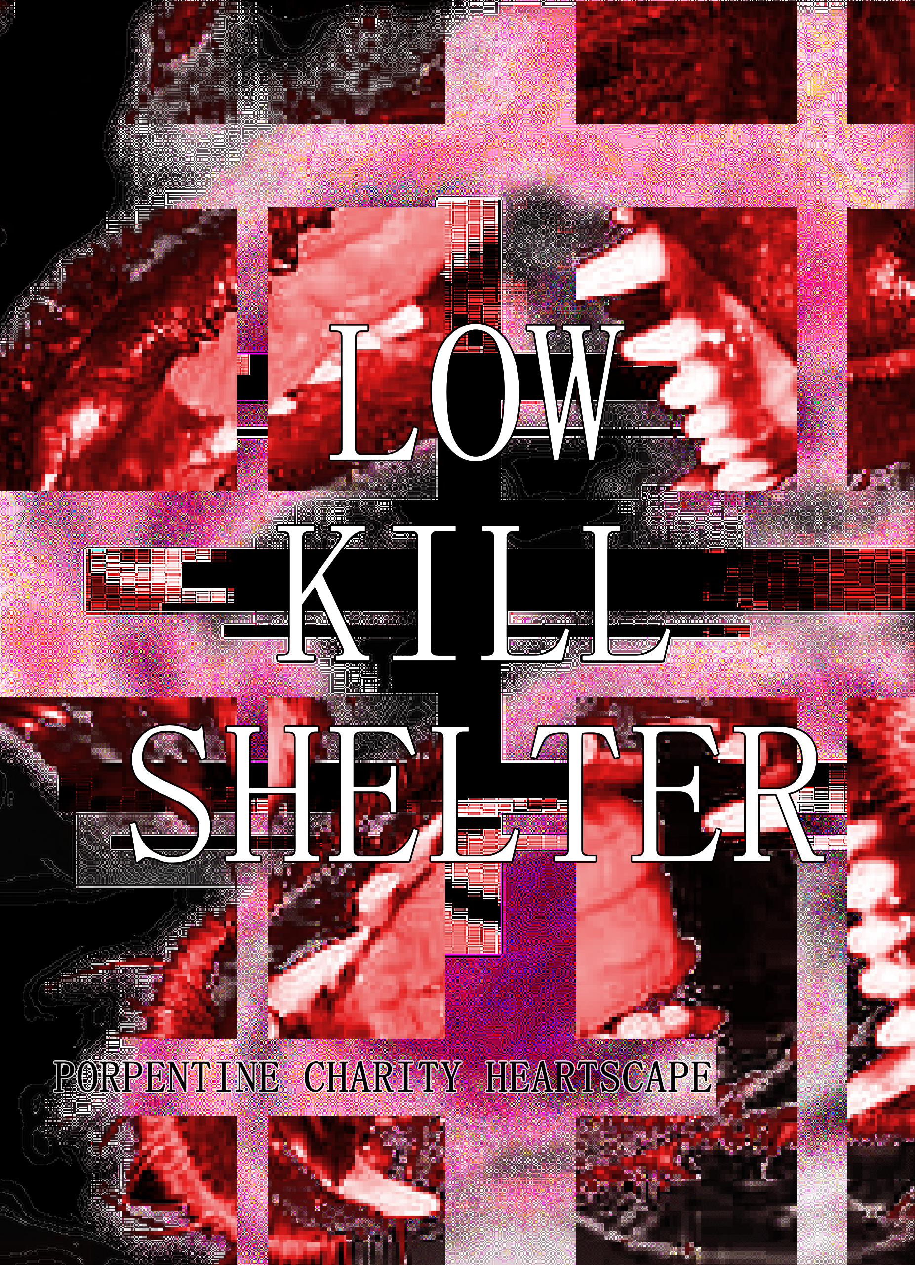 Low Kill Shelter